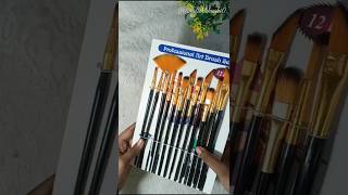 Unboxing brushes set 🖌️✨😍crafterkhushi0 trendingshortscraftunboxingbrushset [upl. by Francoise]