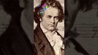 Beethoven Symphony No9 [upl. by Engis77]