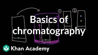 Basics of chromatography  Chemical processes  MCAT  Khan Academy [upl. by Anwahsed]