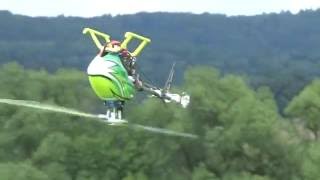 HobbyKing Assault 450 Pilot Florian 8 Jahre  Crash [upl. by Malloch]