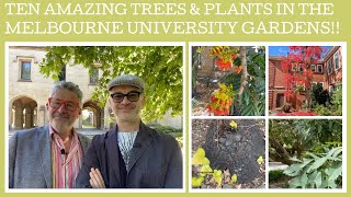 Melbourne University garden tour ten amazing trees amp plants [upl. by Dray]