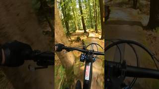 Deutschlands härteste MTB Trails  😱 Bikeländ Eberbach mountainbiking trailriding mtb shorts [upl. by Yleak567]