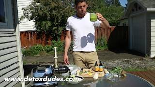 The Ultimate Detox Juicing Recipe For Mercury Chelation amp More Energy [upl. by Azitram]