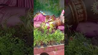 putena Ka bade  jay Shri Krishna Leela [upl. by Anelac]