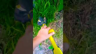 Weed Eating With Unsettling Music shorts youtubeshorts music [upl. by Eelnyl342]