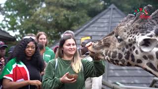 A Trip To The Nairobi National Park And Giraffe Centre [upl. by Bluhm]