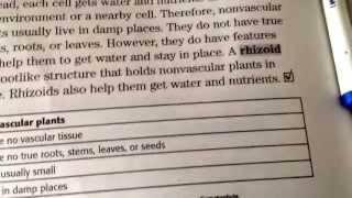 Difference between rhizoids and rhizome [upl. by Eeb]