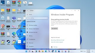 Installing Windows 11 Insider Preview Build 26010 Canary Channel [upl. by Mccallum]