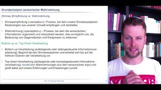 Wahrnehmungspsychologie 1  Grundlagen menschlicher Wahrnehmung [upl. by Belac764]