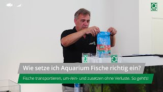 JBL TV 22 Fische richtig einsetzen transportieren und umsetzen ohne Verluste [upl. by Analla]