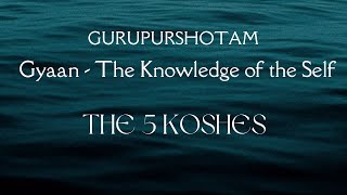 The 5 Koshes Bodies vedanta astral gianishersinghji [upl. by Lekram]