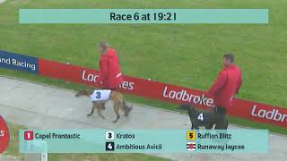 Crayford Greyhounds Races on 23rd April 2024 [upl. by Figone182]