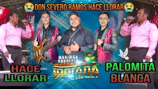 Palomita Blanca  Marimba Orquesta Indiana  Don Severo Ramos Llora😭Sentimientos😭😭25 De Abril 2023 [upl. by Uol]