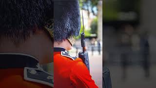 Grenadier Guard [upl. by Arenat]