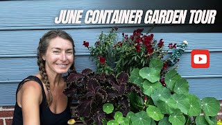 June Container Garden Tour [upl. by Yevrah620]