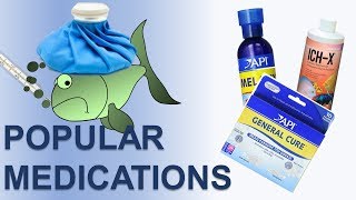 Fish Disease Treatment  Popular Medications For Fish Diseases  Medications For Sick Fish [upl. by Evanne]