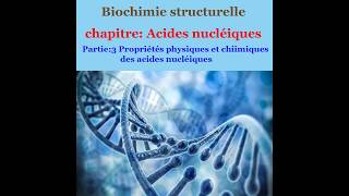 Cours de Biochimie structurale partie 4les propriétés physiques et chimiques des acides nucléiques [upl. by Ahsekyt944]