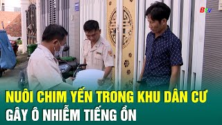 Nuôi chim yến trong khu dân cư gây bức xúc cho người dân tintuc chimyen birdsnest amthanhnhayen [upl. by Trill]