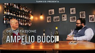 Degustazione con Ampelio Bucci Verdicchio dei Castelli di Jesi quotVilla Bucciquot 2016  Tannico [upl. by Derraj813]