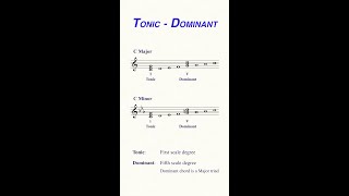 The two most important chords you need to know 🎵 Shorts [upl. by Eidnas63]