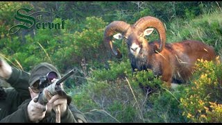 Hunting Mouflon in Croatia  on island Dugi Otok [upl. by Manuela]