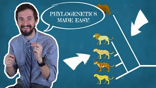 Clint Explains Phylogenetics  There are a million wrong ways to read a phylogenetic tree [upl. by Gillette]