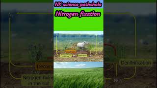 Nitrogen fixation trendingshort viralshots song music [upl. by Jansen]