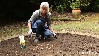 How to Bulb planting [upl. by Letrice]