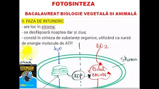 FOTOSINTEZA NUTRITIE AUTOTROFA [upl. by Leverett]