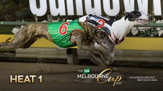 2021 TAB Melbourne Cup Heat 1  KoblenzJepara Dead Heat [upl. by Swinton181]