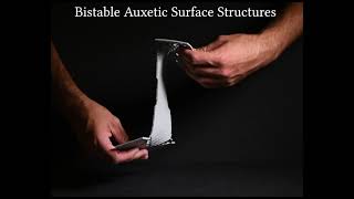 Bistable Auxetic Surface Structures Fast Forward for SIGGRAPH 2021 [upl. by Thielen]