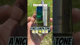 TOP 5 MANCERA FRAGRANCES  MANCERA RED TOBACCO  MANCERA AOUD LEMON MINT shorts fragrance [upl. by Kalikow]