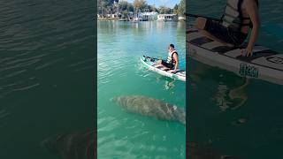 Swimming with manatees at Three Sister Springs  Crystal River 💦  Family adventure [upl. by Dot78]