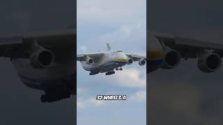 This is the Biggest Cargo PlaneAntonov An225 [upl. by Feingold42]