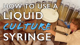 How to Use a Liquid Culture Syringe to Inoculate Grain Spawn the First Step in Mushroom Cultivation [upl. by Sanalda519]