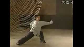 Chang Long Baji Quan 长龙八極拳 Forma Completa [upl. by Ahsienyt426]