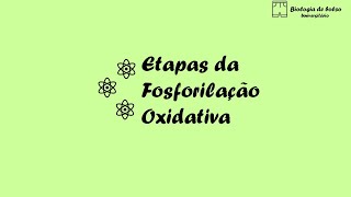 Etapas da Fosforilação Oxidativa [upl. by Montague]