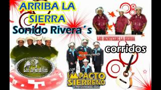 arriba la sierra mix armadillos los benitez impacto sierreño corridos [upl. by Attela]