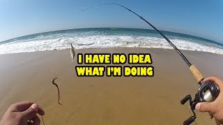 The Historic Dink First Time Using a Baitcaster EVER ft KastKing Royale Legend in the Surf [upl. by Adey]