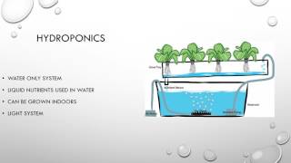 Soilless farming presentation [upl. by Selimah54]