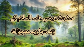 Miracles of hazrat Essaislamic waqiatalmuaraj islamic point [upl. by Wynny]