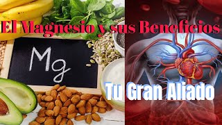 Los Alimentos con más MAGNESIO y sus Increíbles BENEFICIOS [upl. by Mckay]