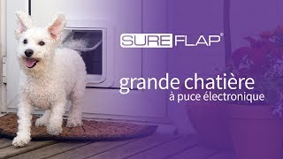 Remplacement de la cartouche du moteur de votre Grande Chatière à puce électronique SureFlap [upl. by Inohs]