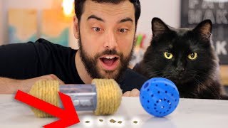 DIY Cat Foraging Toys and will our cat use them [upl. by Westfahl]