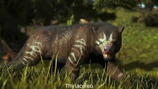 Thylacoleonids The Marsupial Lions [upl. by Yessydo]