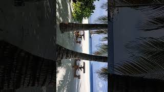 360 tour Angaga Island resort [upl. by Tharp652]