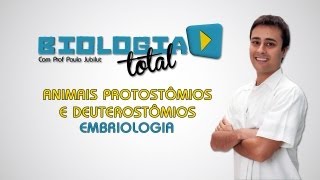 Animais Protostômios e Deuterostômios  Embriologia  Prof Paulo Jubilut [upl. by Eadwine27]