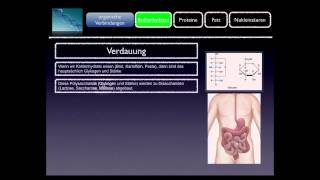 Basiskurs BiochemieChemie Kohlenhydrate Teil 710 [upl. by Alam9]