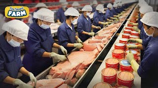 MASSIVE Canned Tuna Production in Factories That You Have Not Seen Before This is How Its Made [upl. by Ibocaj]