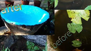 Old water Lilly pond cleaningampESDEE SUPER CHLORINATED RUBBER FINISHES painting [upl. by Tilford]